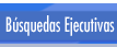 B&uacute;squedas Ejecutivas