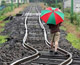 vias-tren